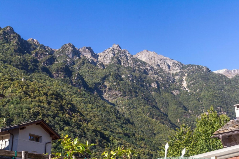 La Sciora Oliva Main image